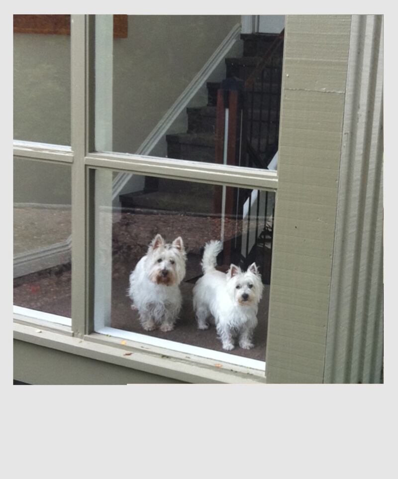 galleries/2013/06/26/julie-wainwright-ceo-of-the-real-real-shares-her-favorite-things-photos/polaroid-photo8_wu1ysi