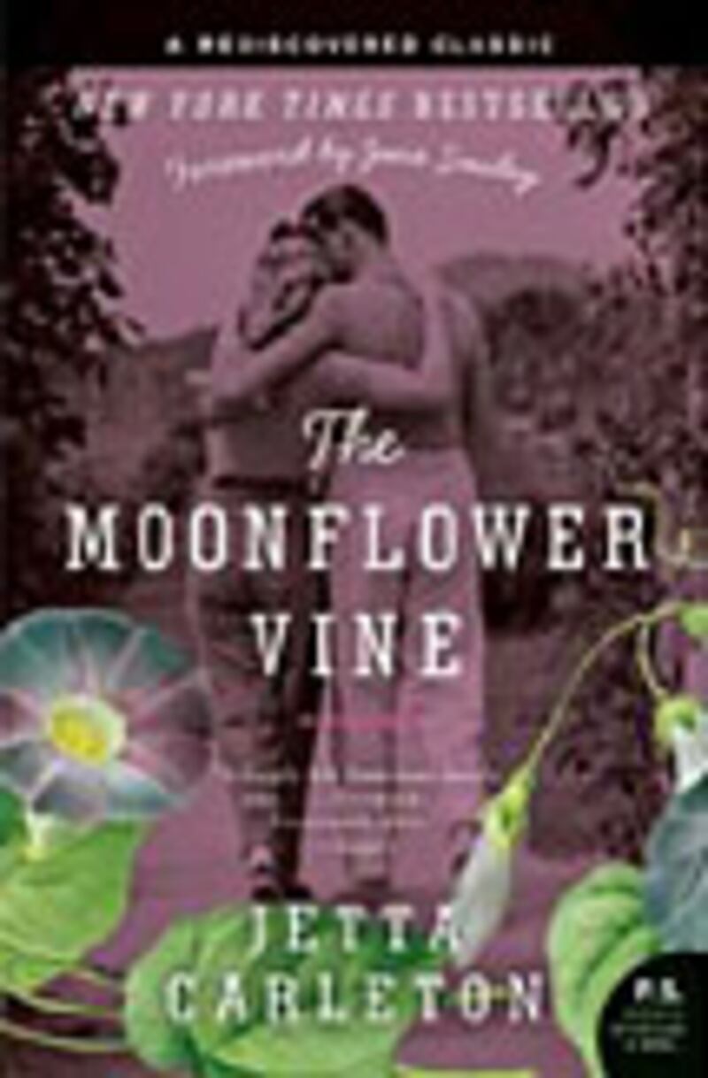 articles/2009/03/31/the-daily-beast-recommends-3/book-highlight---the-moonflower-vine_tspirz