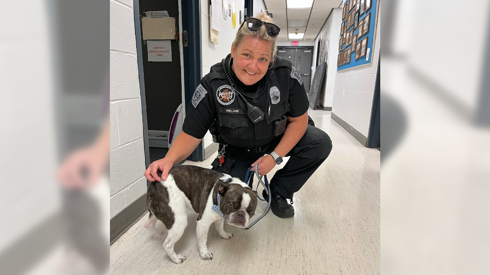 Allegheny County PD recovers an abandoned dog in the Pittsburgh International Airport.