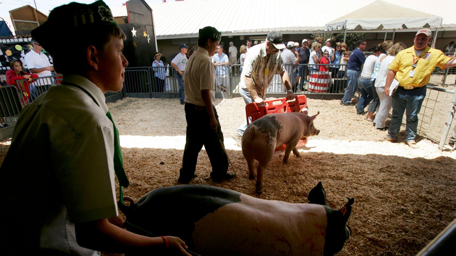 GettyImages-53170103_tkr80o