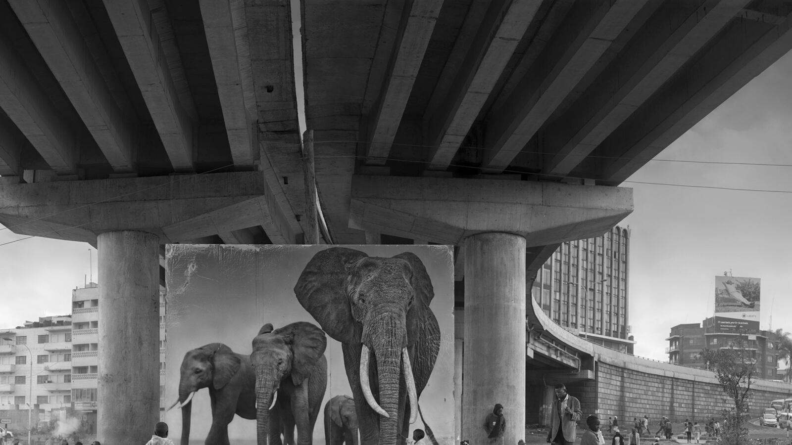 galleries/2016/04/01/haunting-photos-of-africa-s-past-and-present/160216-nick-brandt-tease_waiwwk