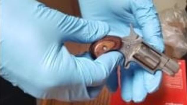 Natasha_Wilhite_Gun_hpe1f4