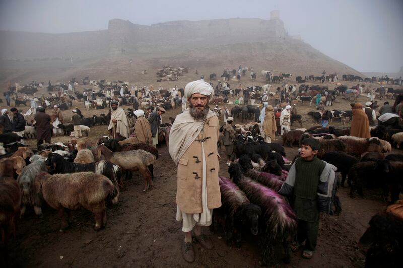 galleries/2011/10/27/photo-of-the-day/photo-of-the-day-111104-1_q72uvk