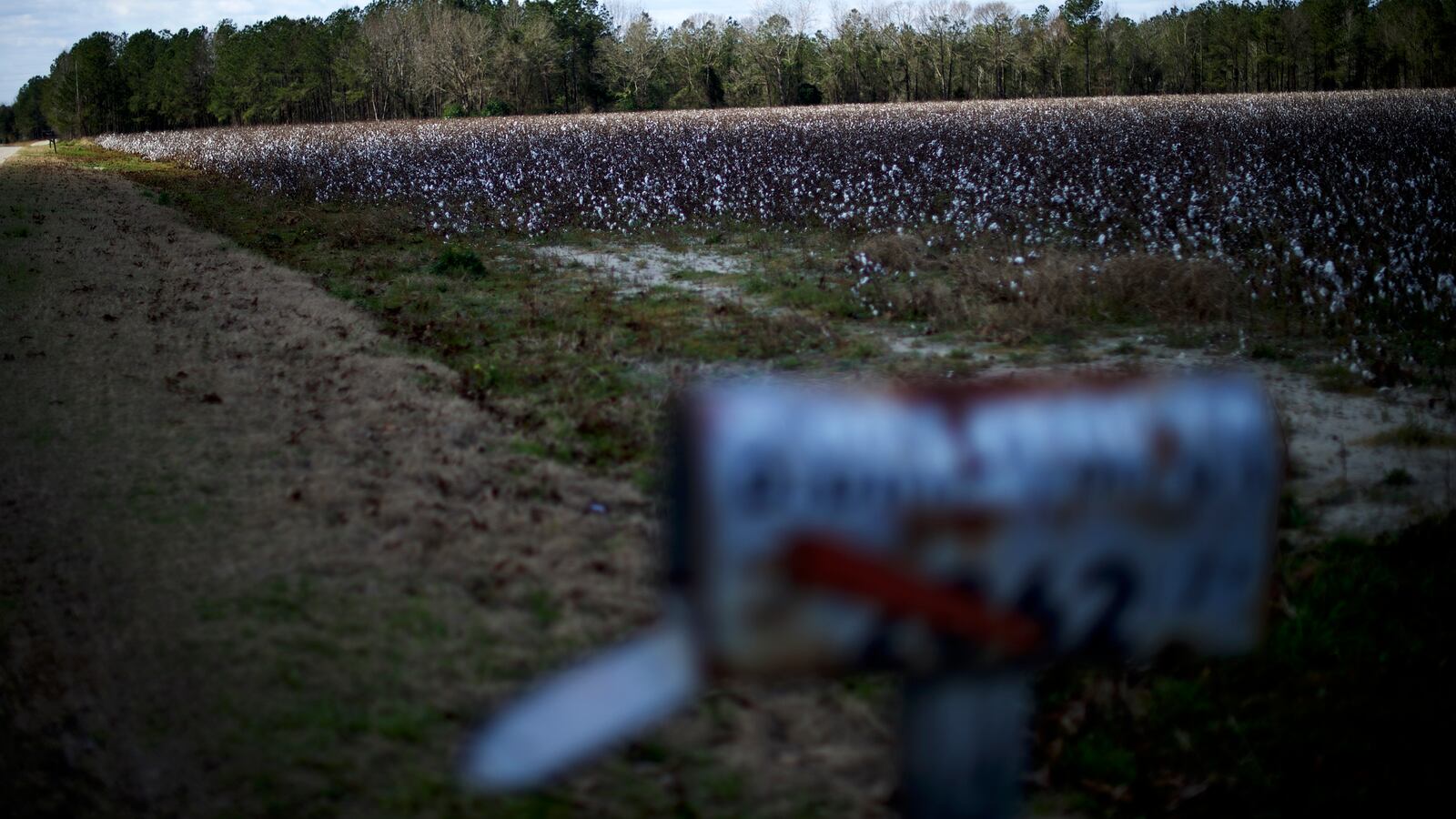 GettyImages-512448184_vlrbjb