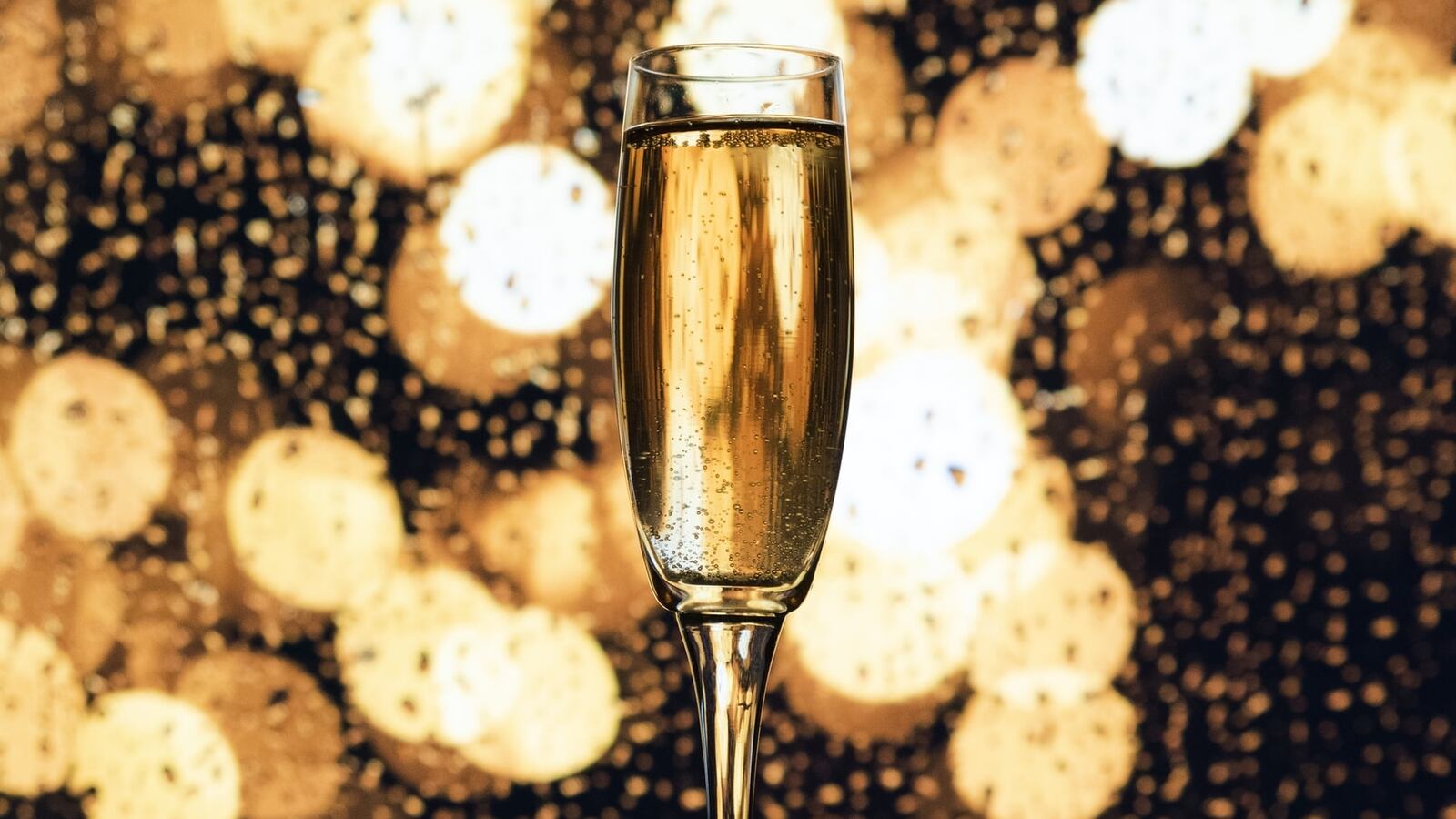 photo-1583728851261-0b1639297607_stafh5