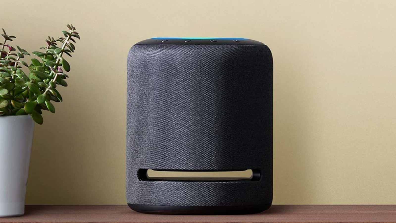 61FPZMMCqzL._AC_SL1000__w6qdoh