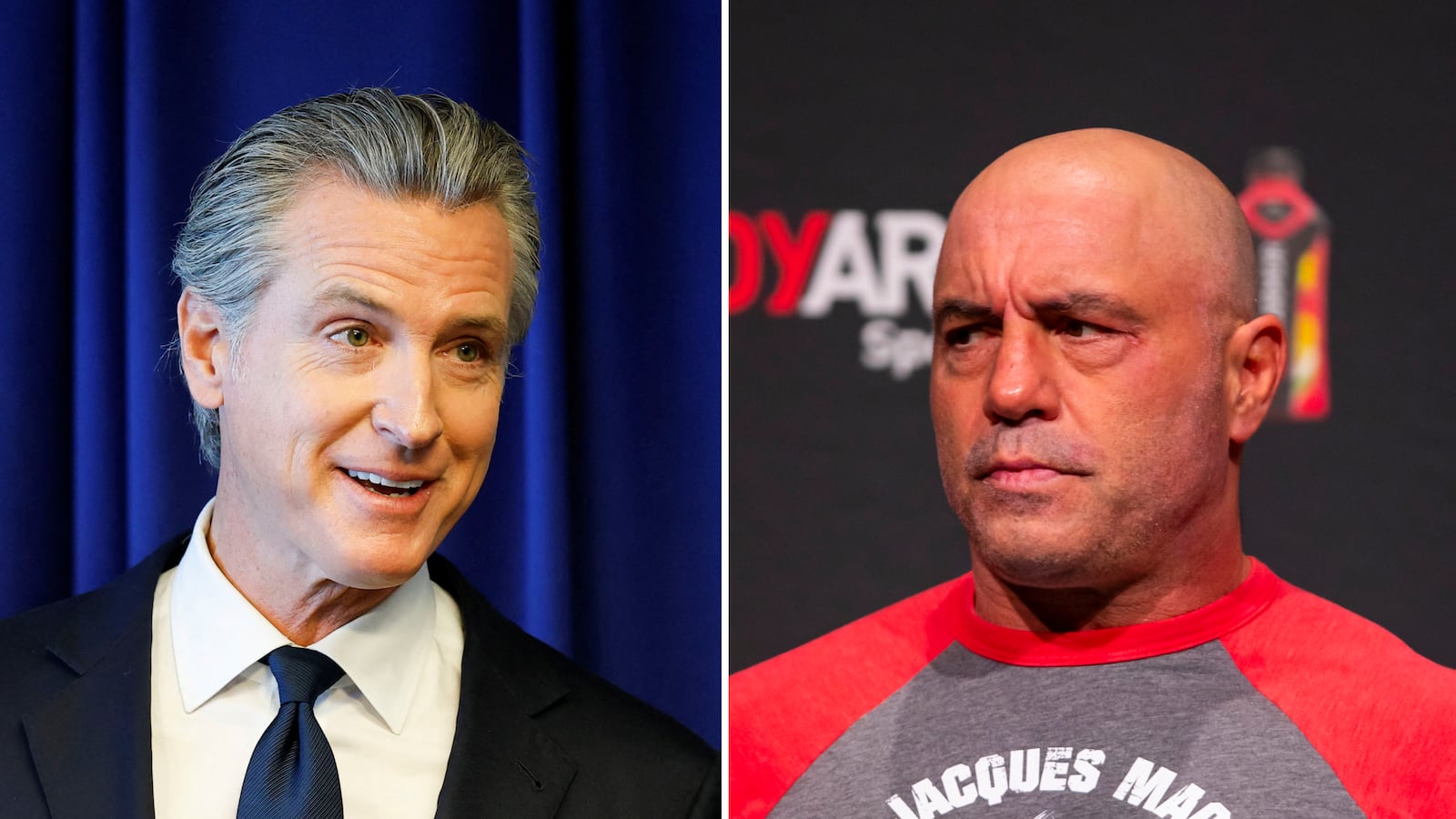joe rogan gavin newsom