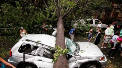 cheats/2010/09/16/nyc-storm-leaves-one-dead/nyc-storm_i4ybtv