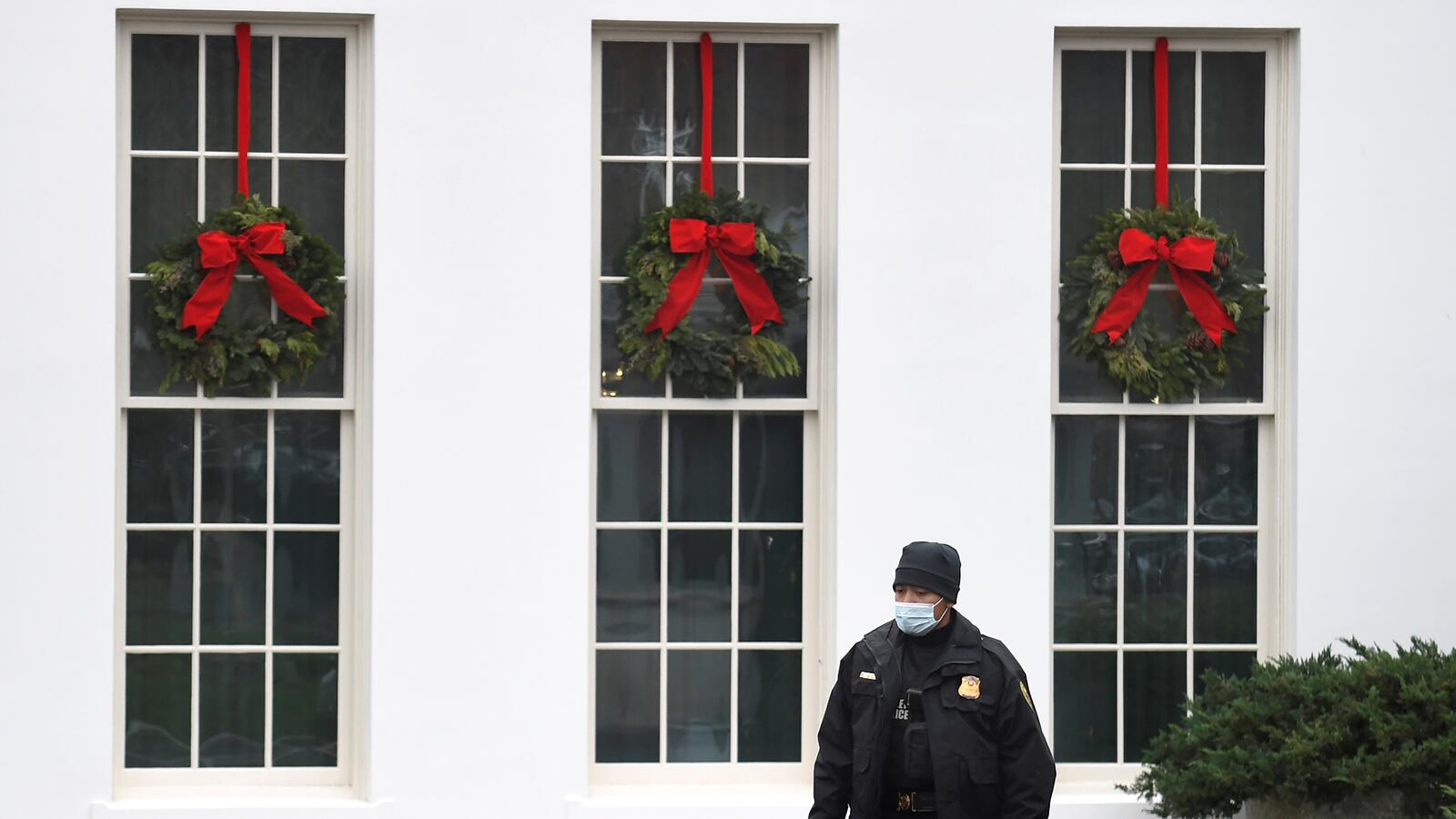 2020-12-18T153607Z_1661992572_RC2RPK9YSUX4_RTRMADP_3_USA-ELECTION-TRUMP_wingmi