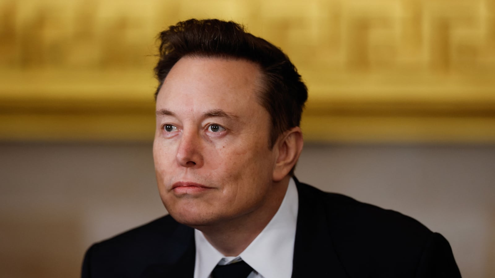 Elon Musk's businesses rely on lithium batteries.