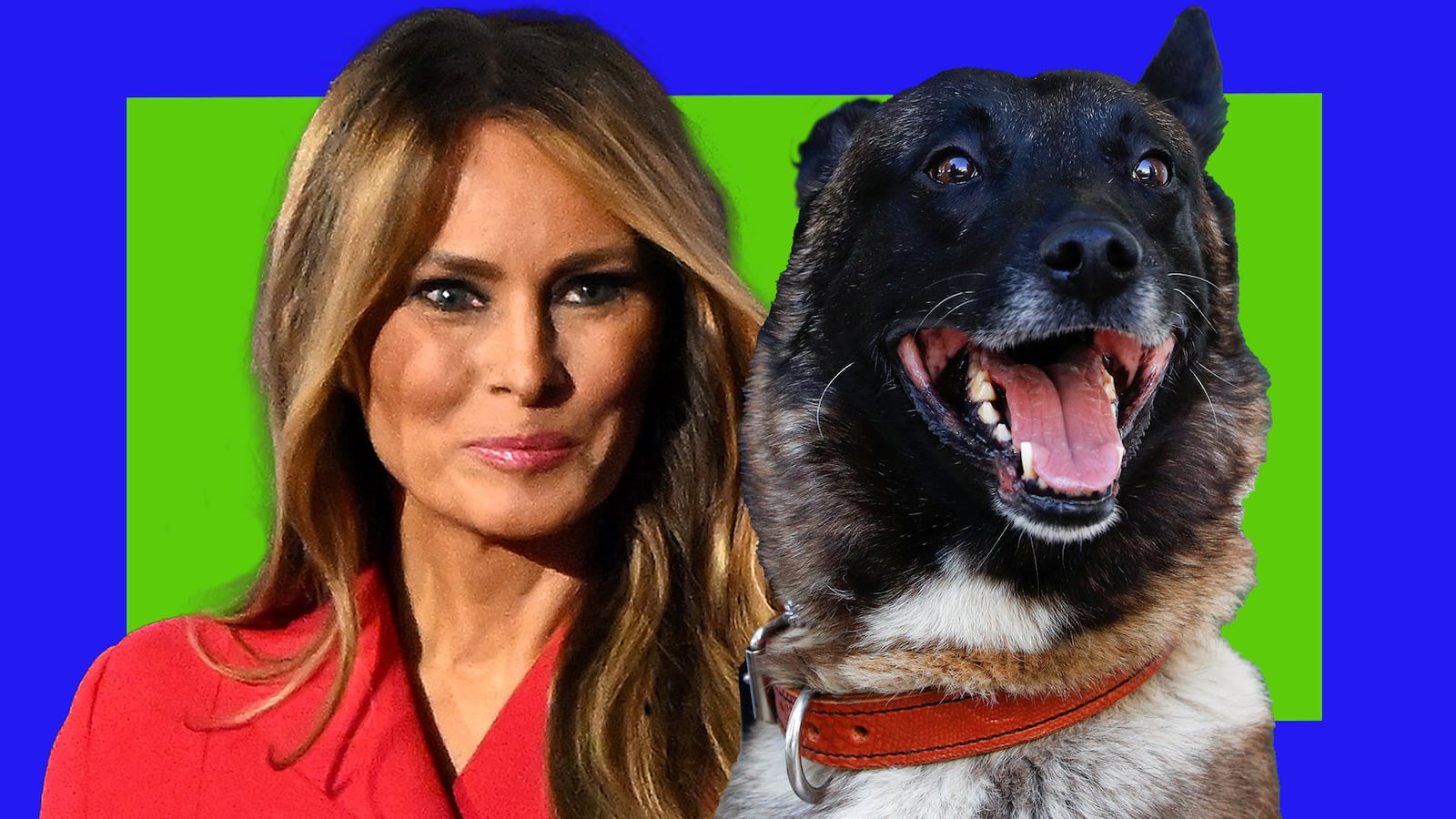 Melania Trump and dog Conan illustration