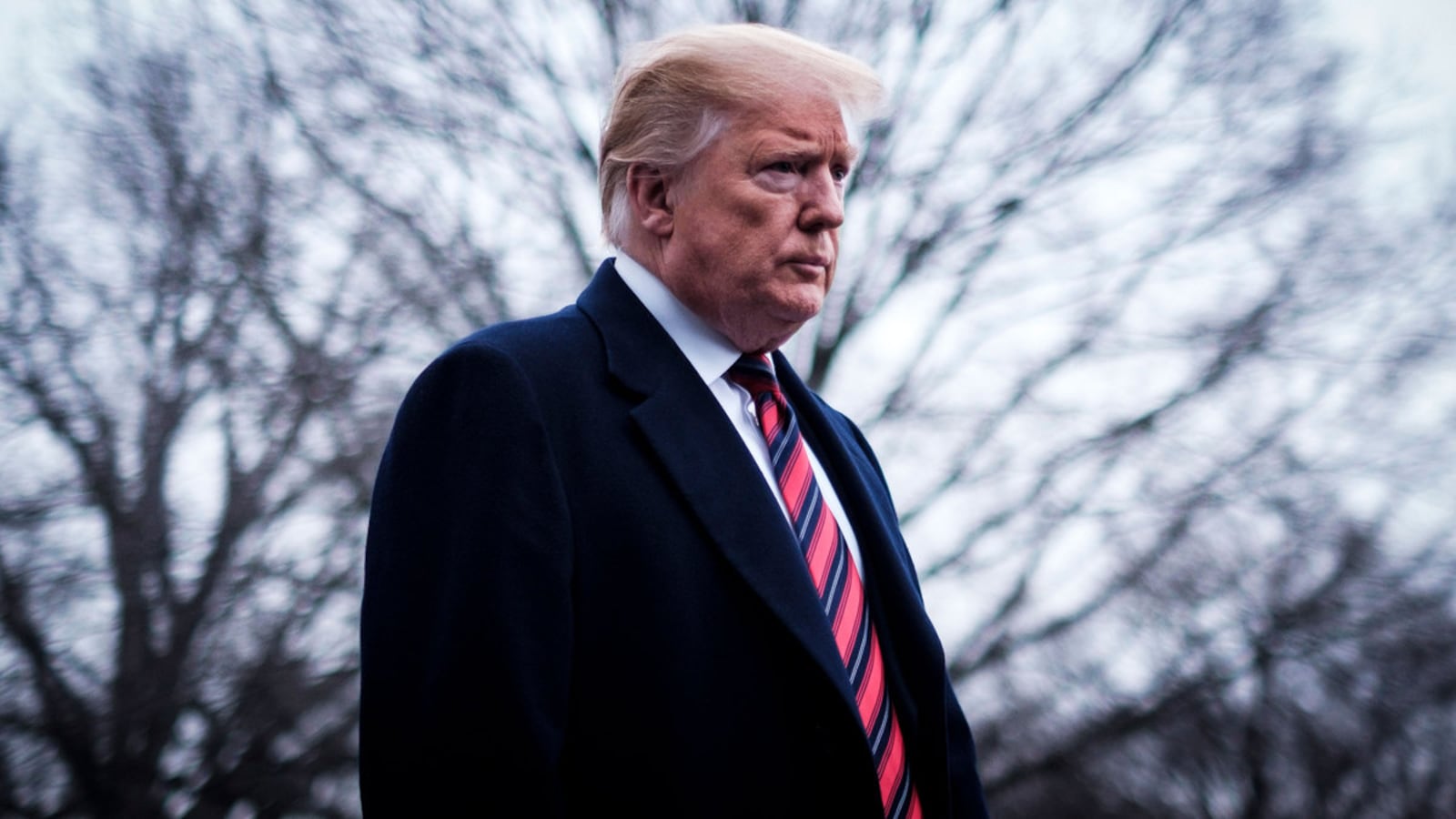 210113-michaelson-donald-trump-state-park-hero_tjraxg