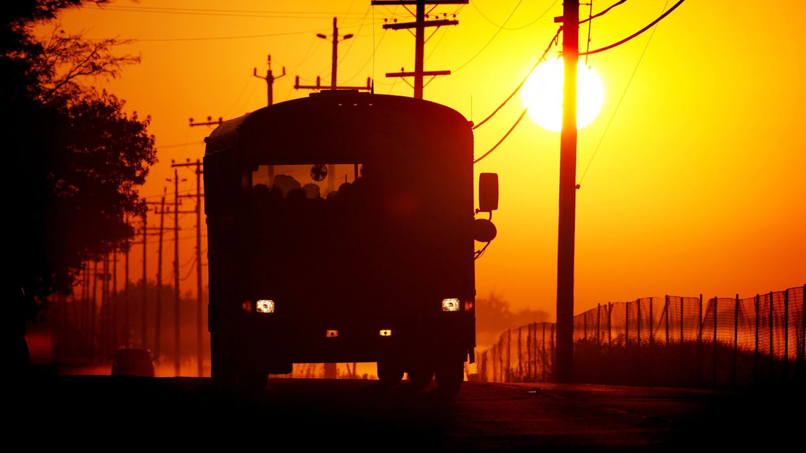 rsz_gettyimages-55826446_dlkqlv