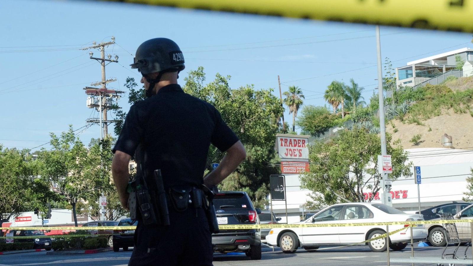 RTX6CBQM_zxhiyu_rz3l9u