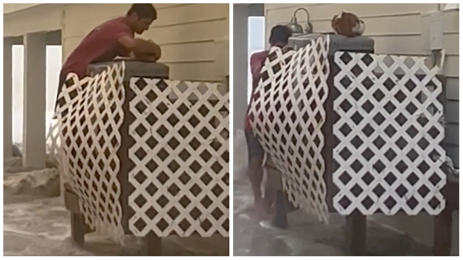 Collage_Maker-29-Sep-2022-12.46-PM_xfyck3