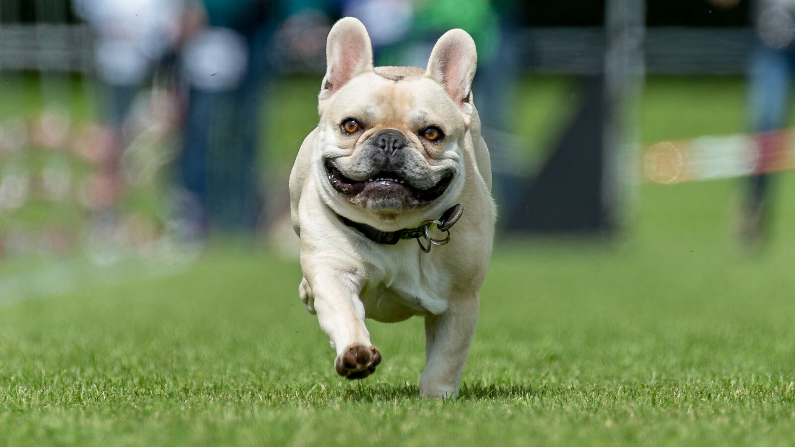 GettyImages-842188534_rckjdd