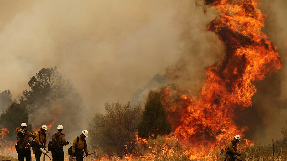 articles/2011/06/11/arizona-fires-mormons-mobilize-to-help/arizona-fires-sterling_fnecwj