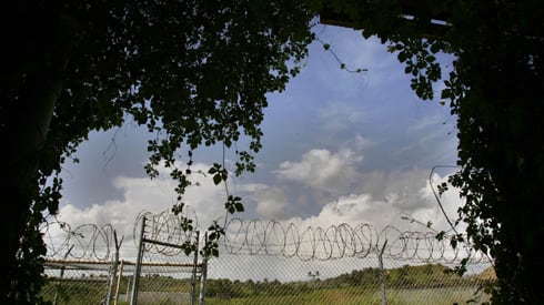 cheats/2009/01/01/camp-x-ray-covered-in-weeds/camp-x-ray_ztkss4