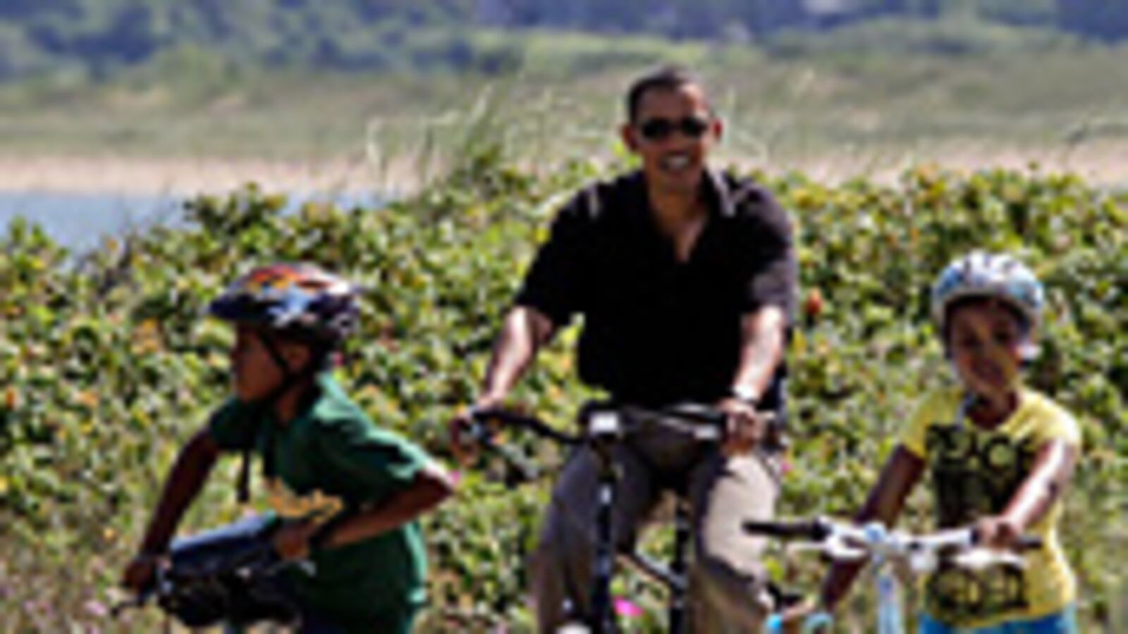 articles/2009/08/29/my-marthas-vineyard-close-encounter/williams-obama-vineyard_46044_hsj5gv