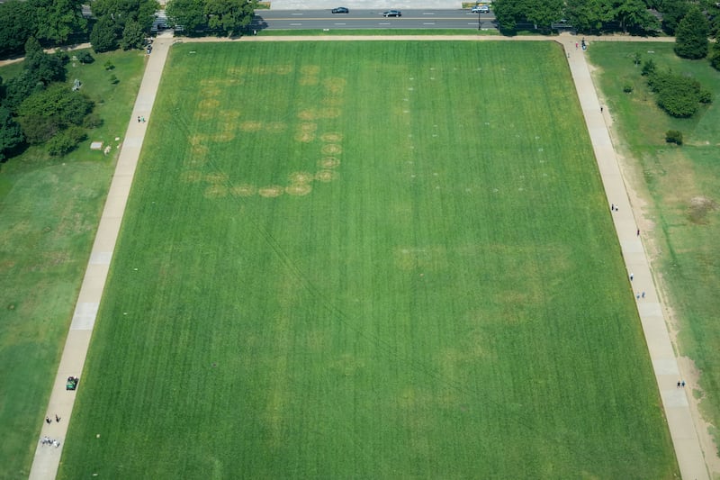 Authorities responded to what appeared to be a large tracing of the term 8647 into the grounds of the National Mall in Washington, D.C., U.S., June 11, 2026. A Reuters photographer captured the emerging image from atop the Washington Monument on the Mall's grass shortly before authorities arrived. The arrangement of the numbers was clearly an attempt to show 8647, though the 4 was not fully formed. Federal prosecutors on other occasions have said the term could indicate a threat to President Trump, the 47th U.S. president. REUTERS/Nathan Howard     TPX IMAGES OF THE DAY