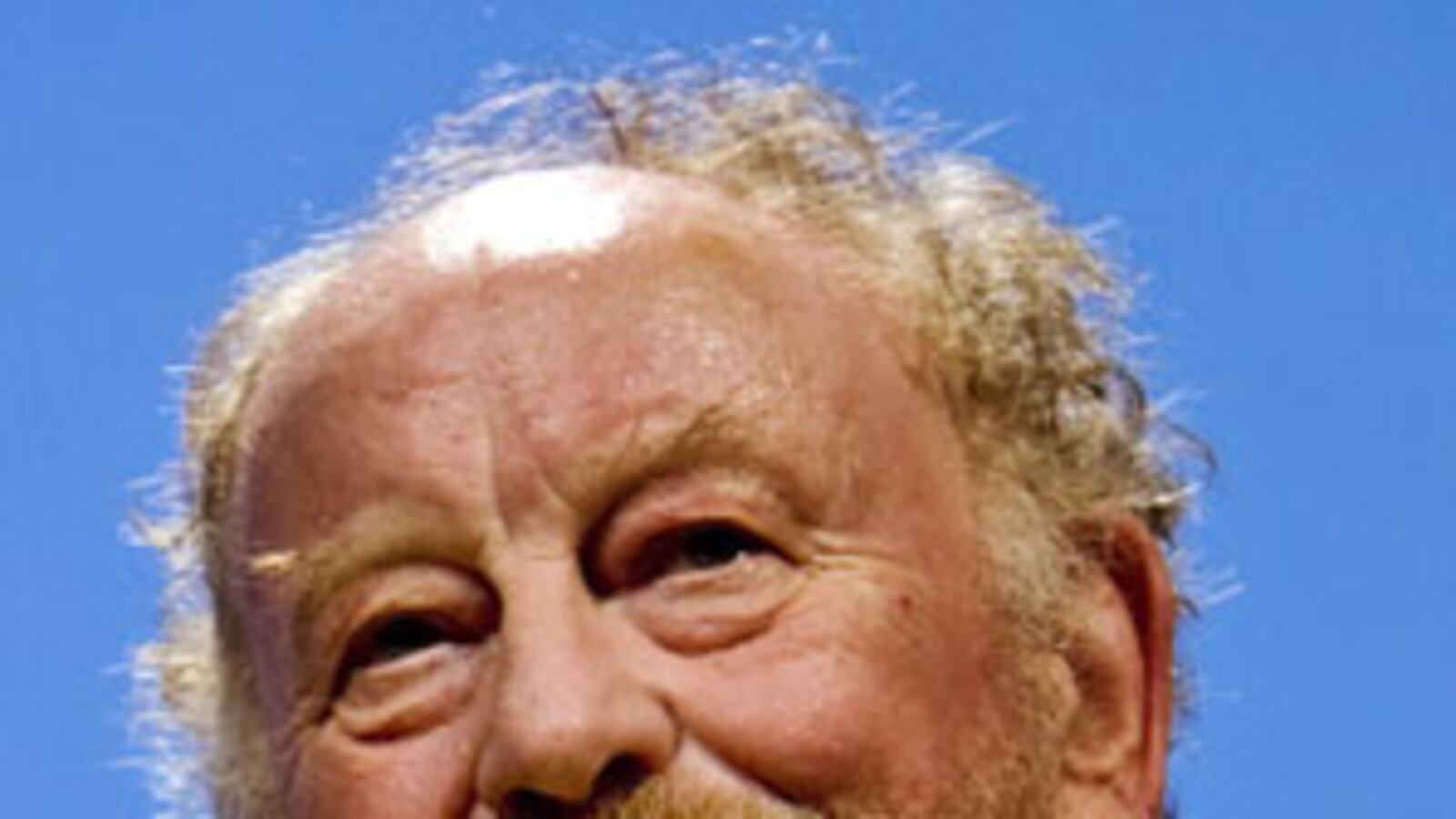 cheats/2010/01/03/cartoonists-attacker-tied-to-al-qaeda/danish-cartoonist-westergaard_fhuahm
