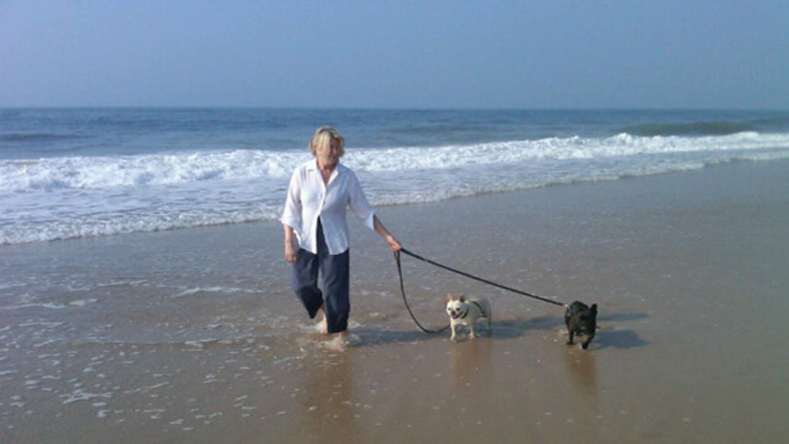 galleries/2010/07/21/best-celebrity-twit-pics/twitpi725---martha-stewart_zqbwh1