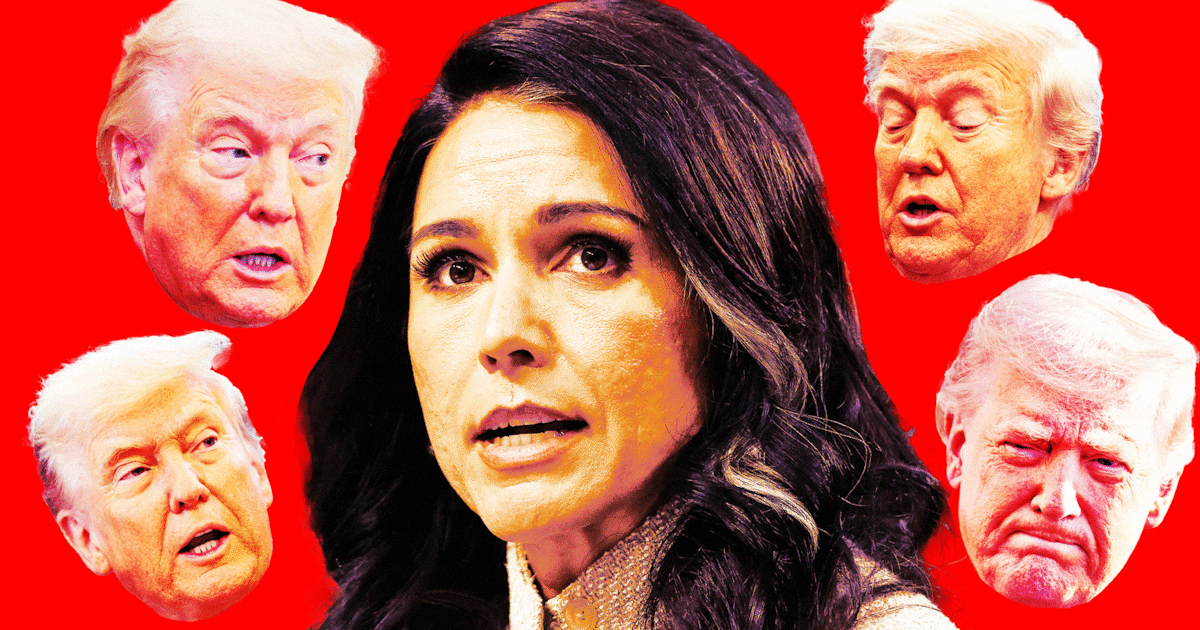 Tulsi Squirms as Trump Watches for Signs of Betrayal
