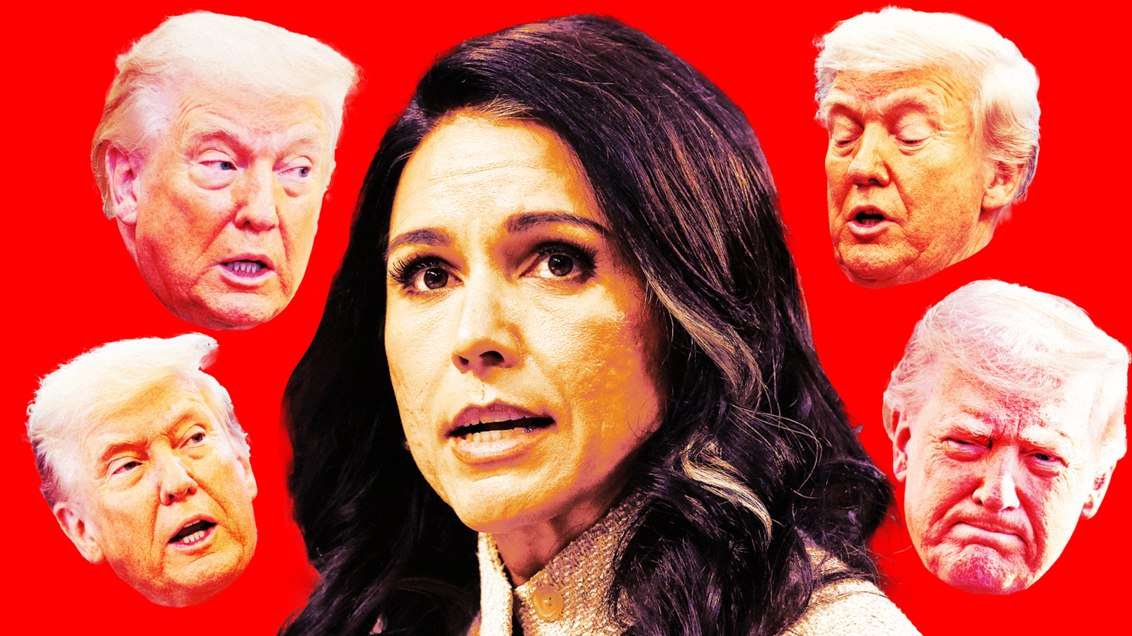 A gif of Donald Trump and Tulsi Gabbard.