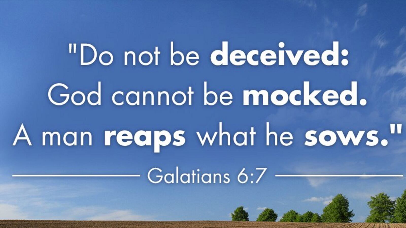 cheats/2016/06/12/anti-lgbt-texas-lt-gov-tweets-man-reaps-what-he-sows/160612-dan-patrick-tweet-cheat_ckvuyh