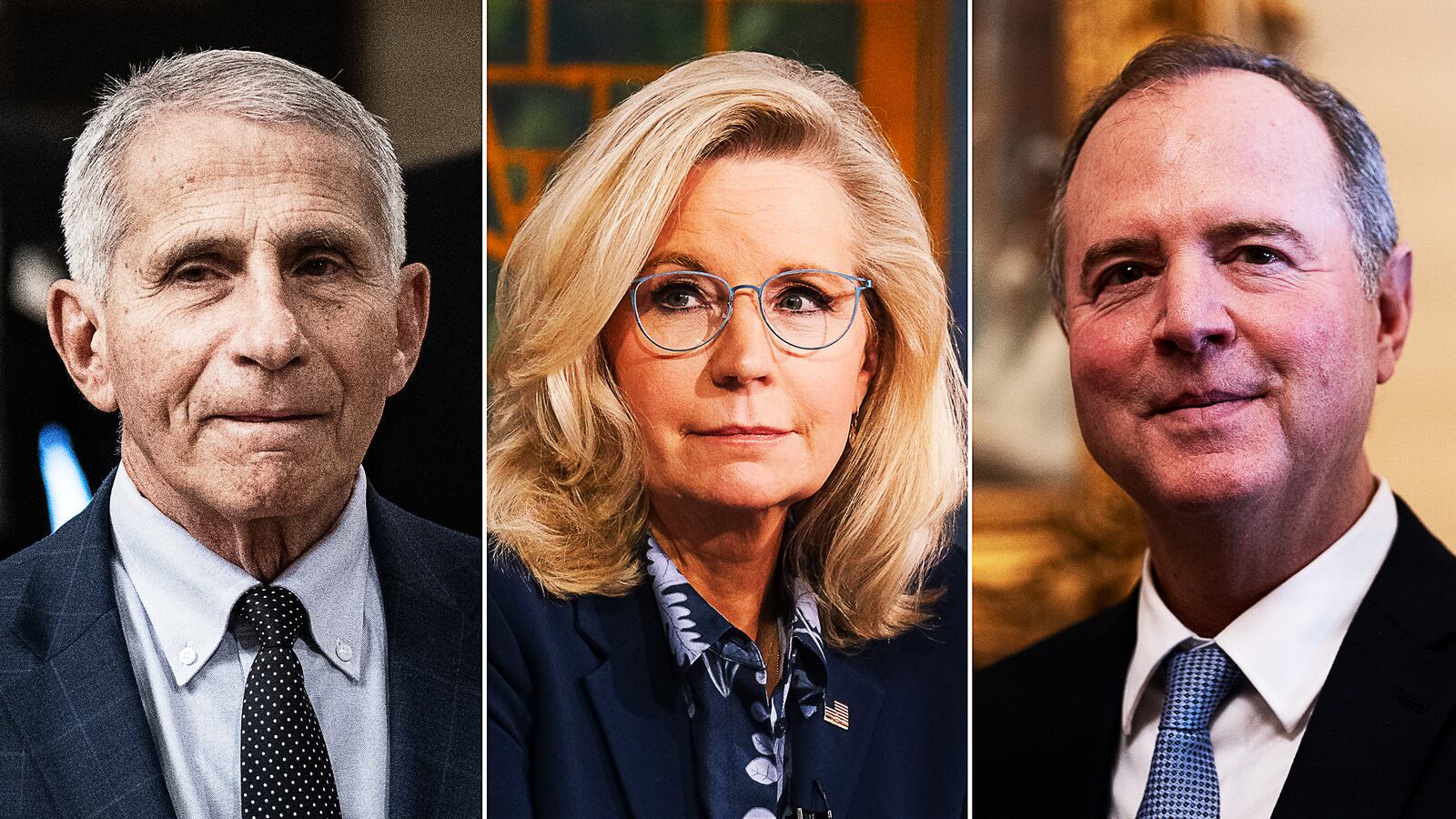 Anthony Fauci, Liz Cheney and Adam Schiff