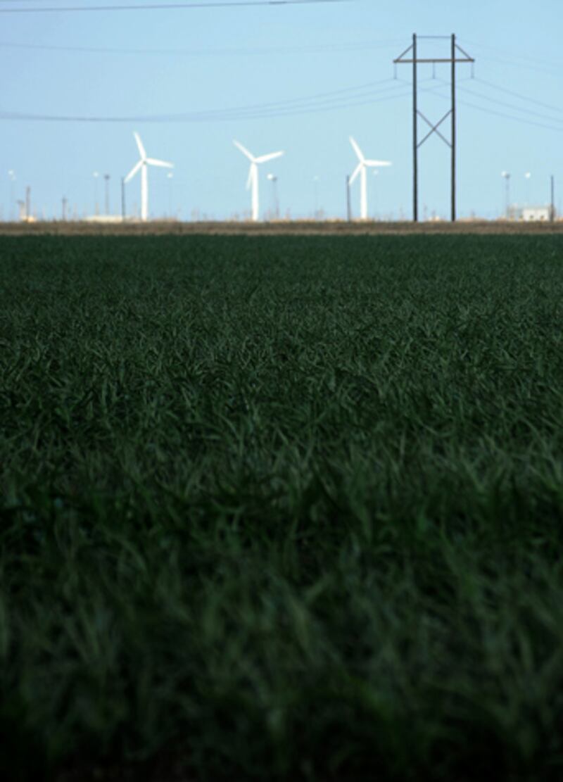 galleries/2012/08/09/praying-for-rain-at-sunshine-ranch-photos/texas-drought-6_gfurnt