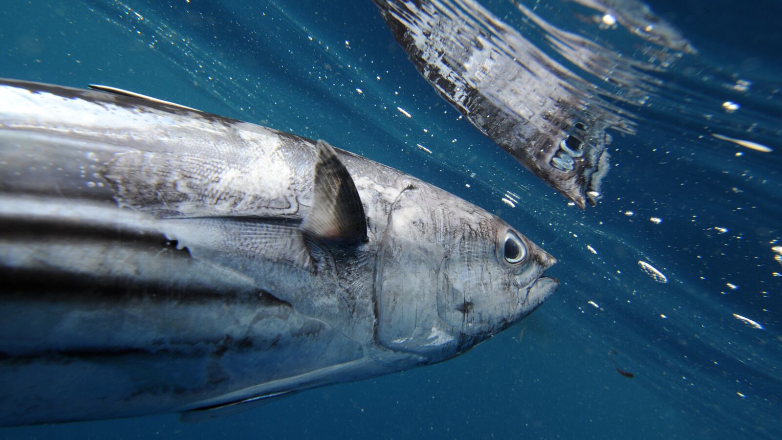 GettyImages-590013386_1_vyi1lp