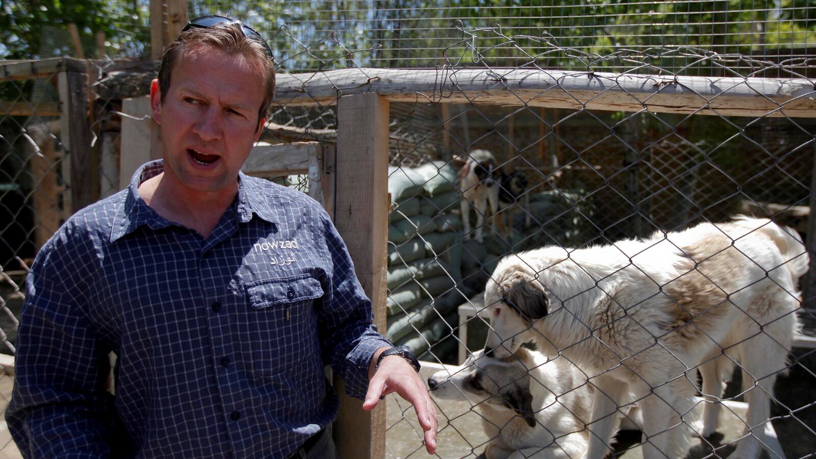 2021-08-26T143010Z_802418487_RC22DP9LPGNL_RTRMADP_3_AFGHANISTAN-CONFLICT-BRITAIN-ANIMALS_xnciwb