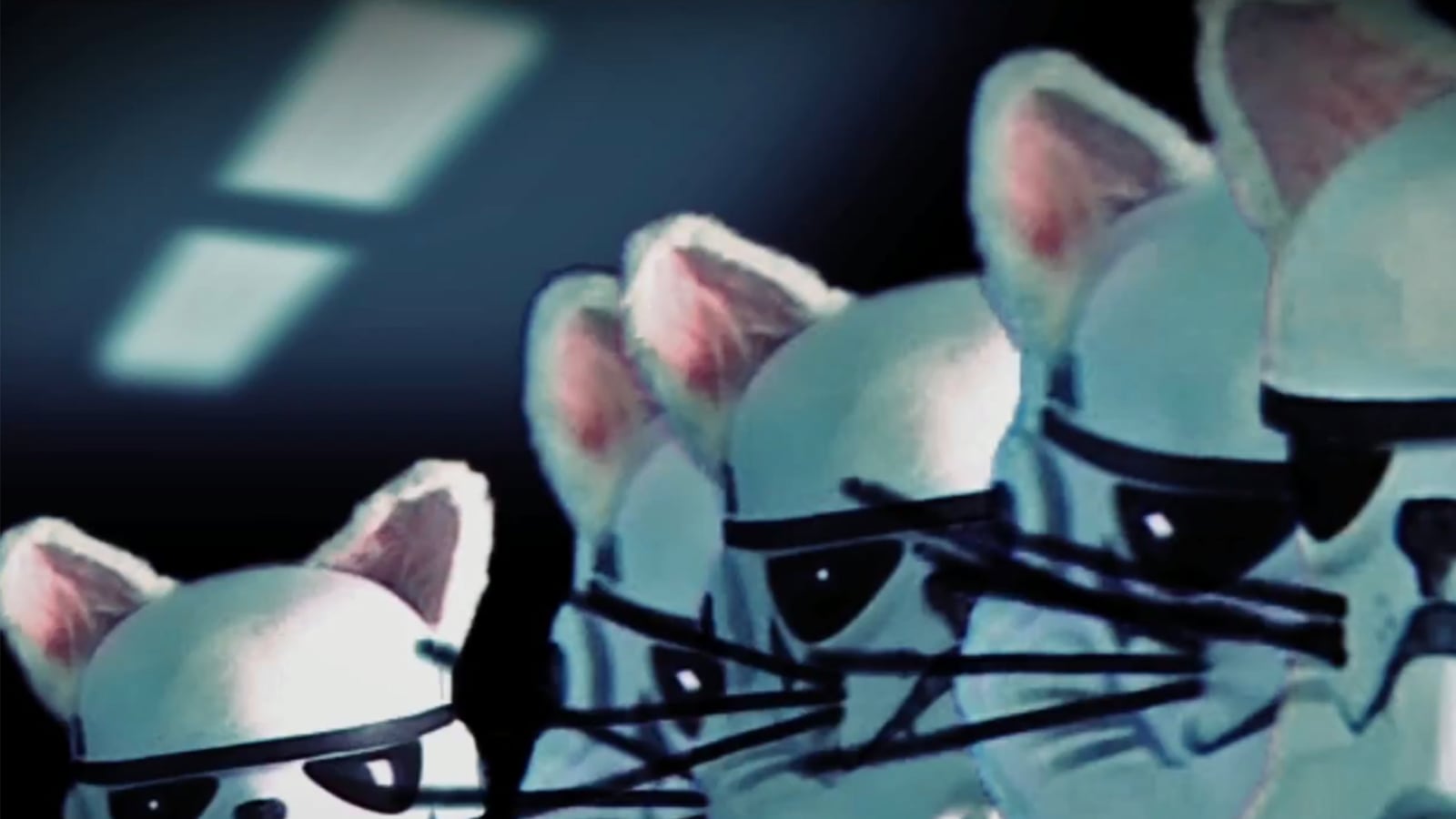 articles/2014/12/10/star-wars-goes-to-the-dogs-and-cats/star-wars-goes-to-the-dogs-and-cats-image_cnzkb3