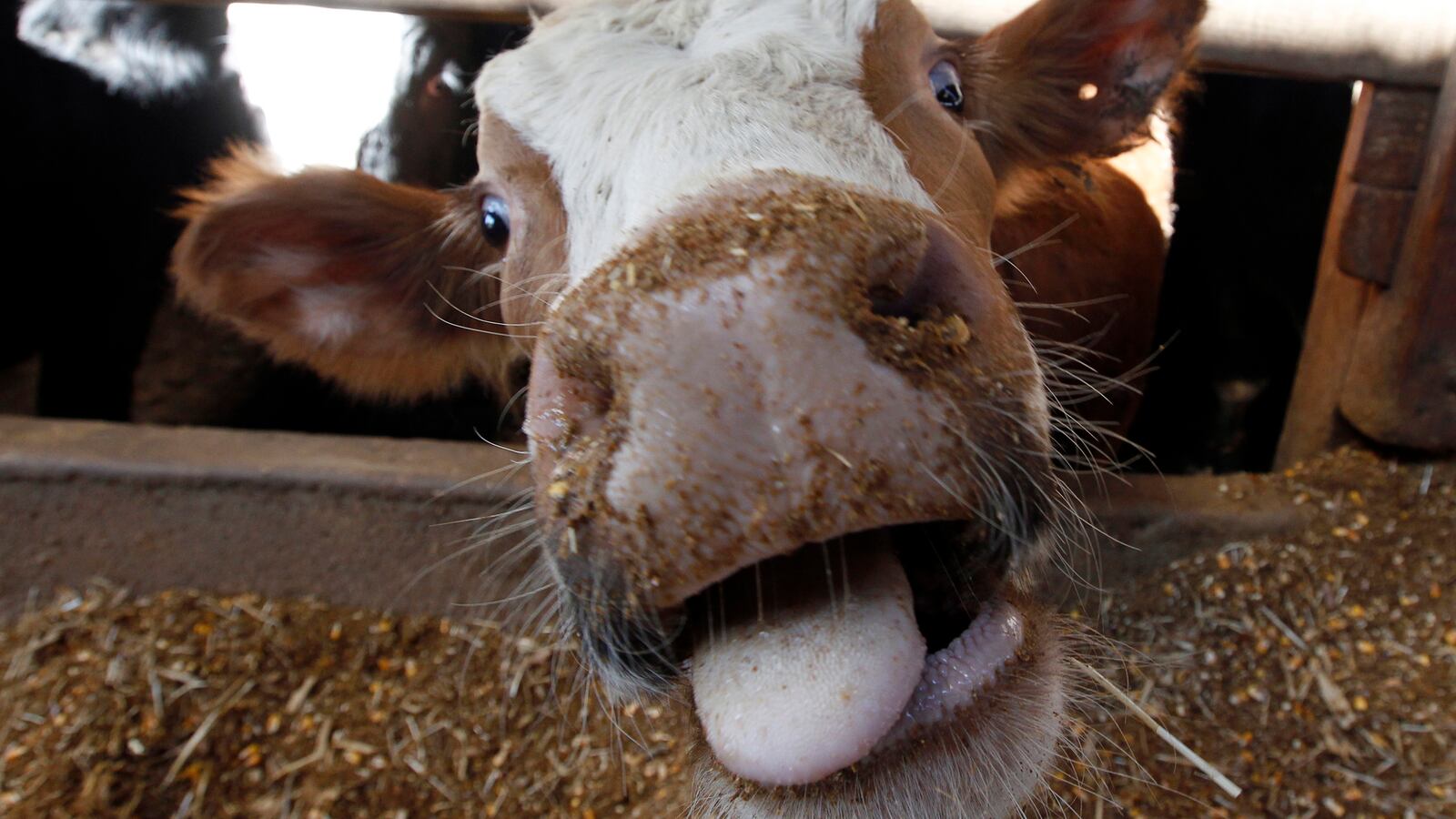 2012-04-11T120000Z_832147935_TM3E84A1S4901_RTRMADP_3_USA_en6kwy