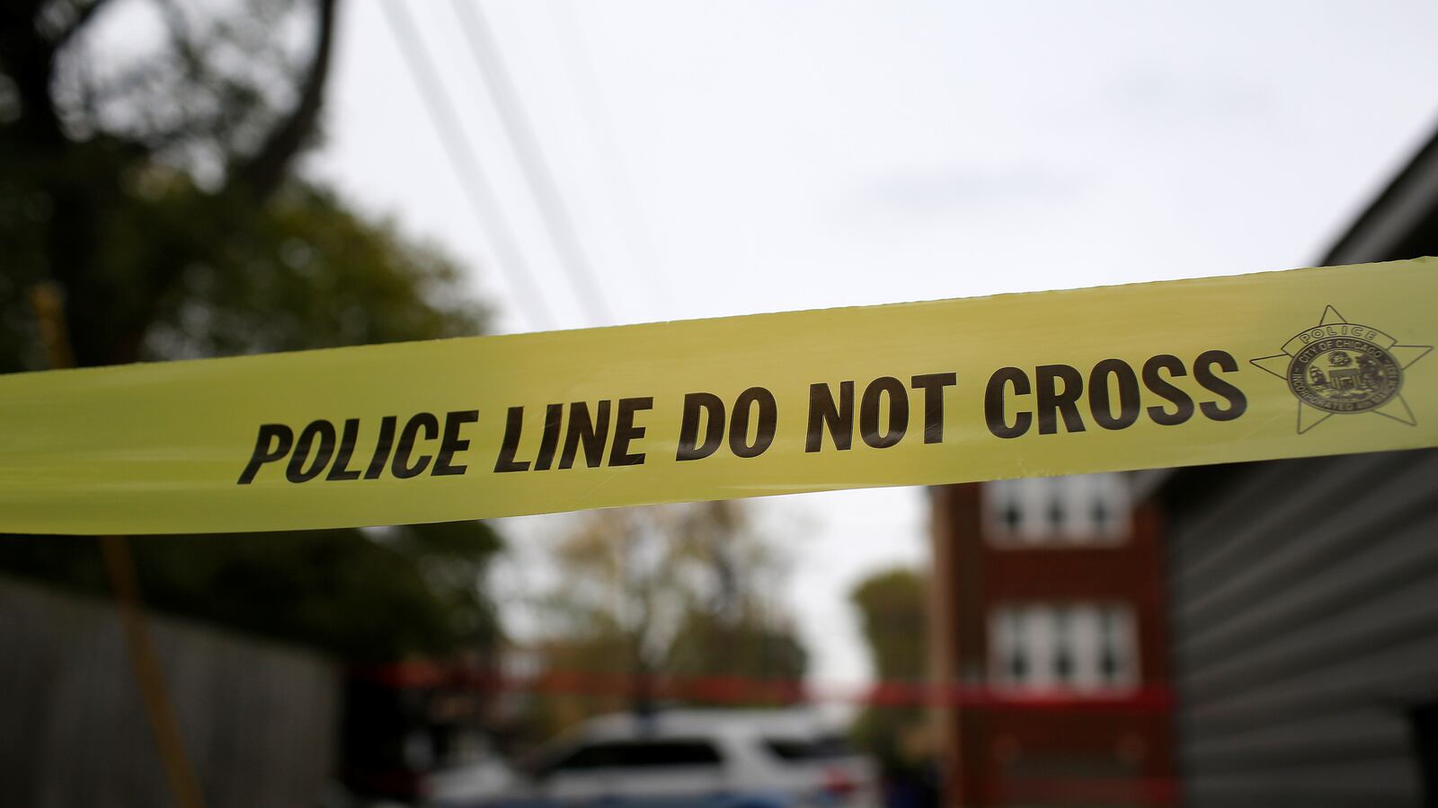 171228-chicago-pd-cheat_x6k6an