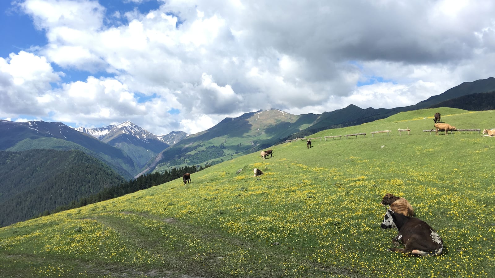 190303-kemper-caucus-mountains-hero_dffupf