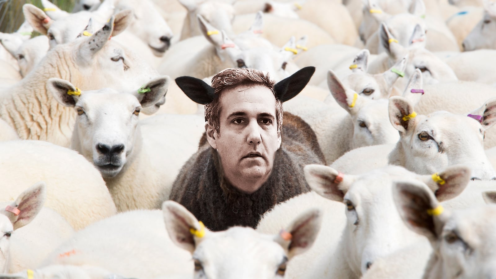 180520-lachlan-cohen-hero_xzmqcd