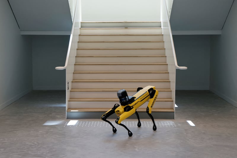boston dynamics dog robot