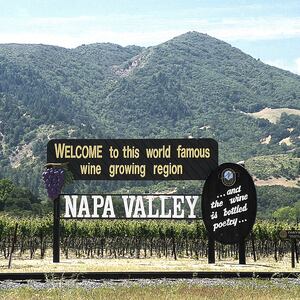 180308-Dinkelspiel-napa-valley-tease_qvgg1b
