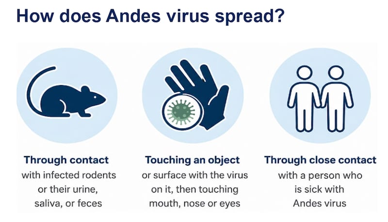 Andes Virus CDC explainer