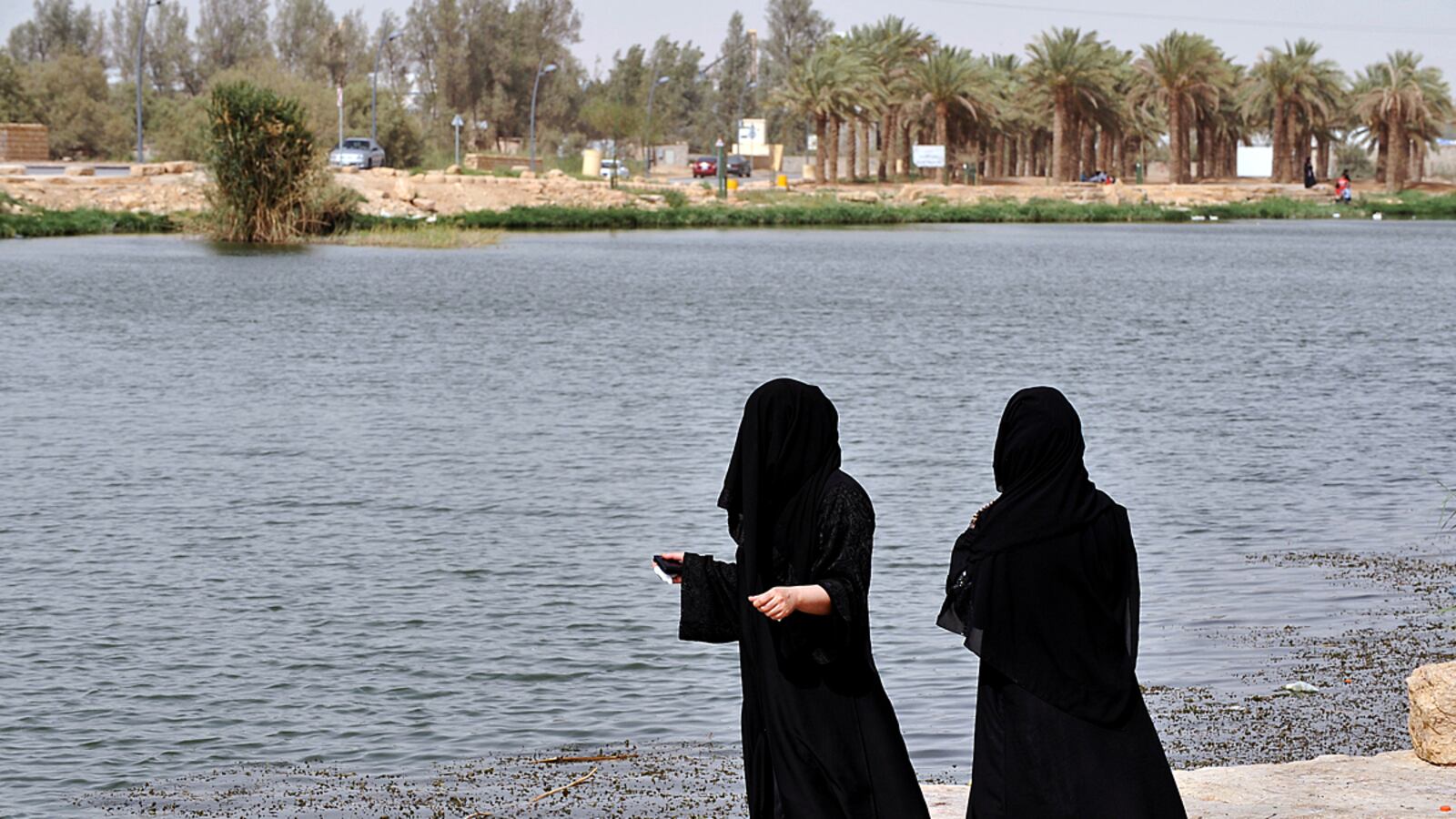 articles/2012/07/01/saudi-arabia-lifts-ban-on-olympic-women/saudi-women-keyes_yloejr