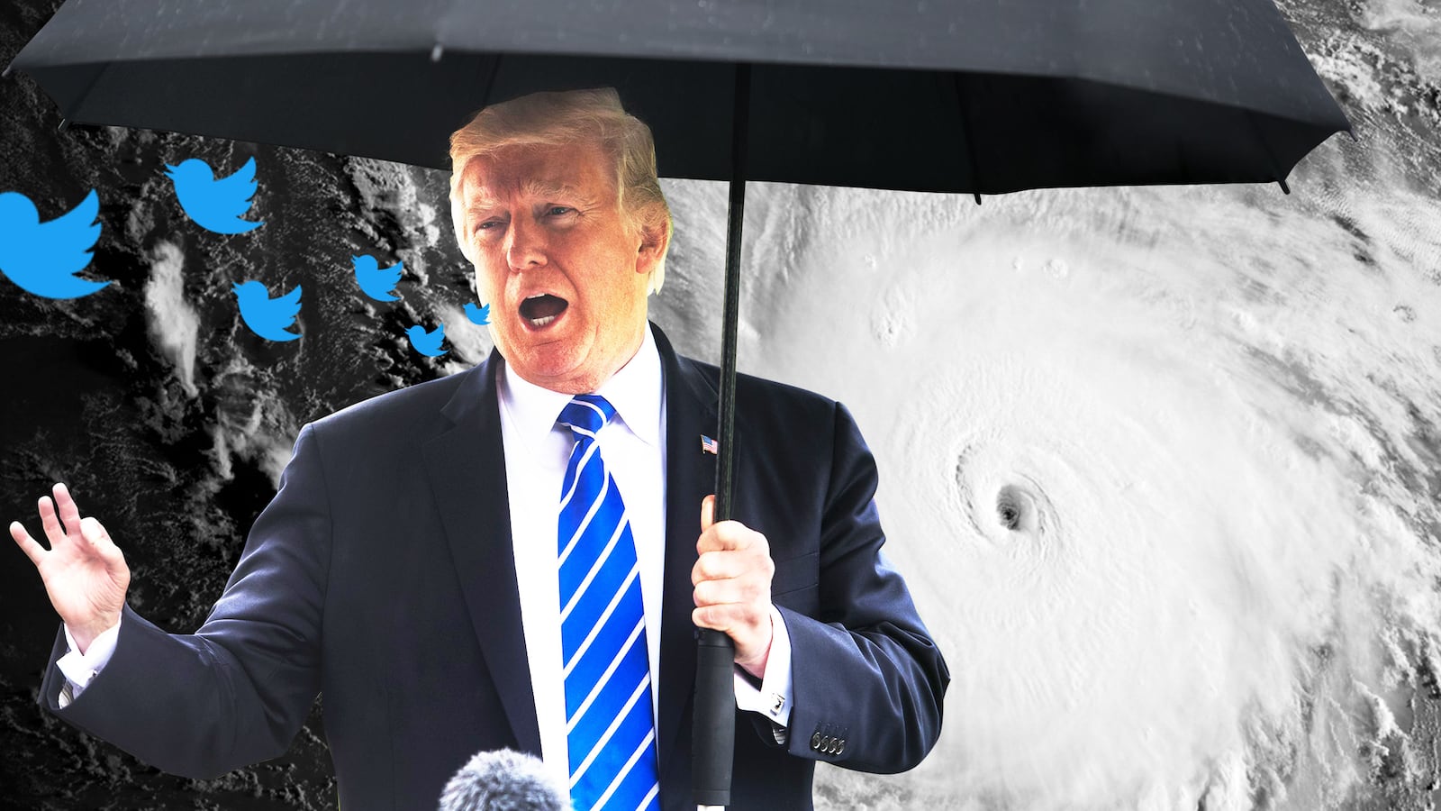 Trump tweets about Hurricanes Harvey and Irma like we're in a TV show.