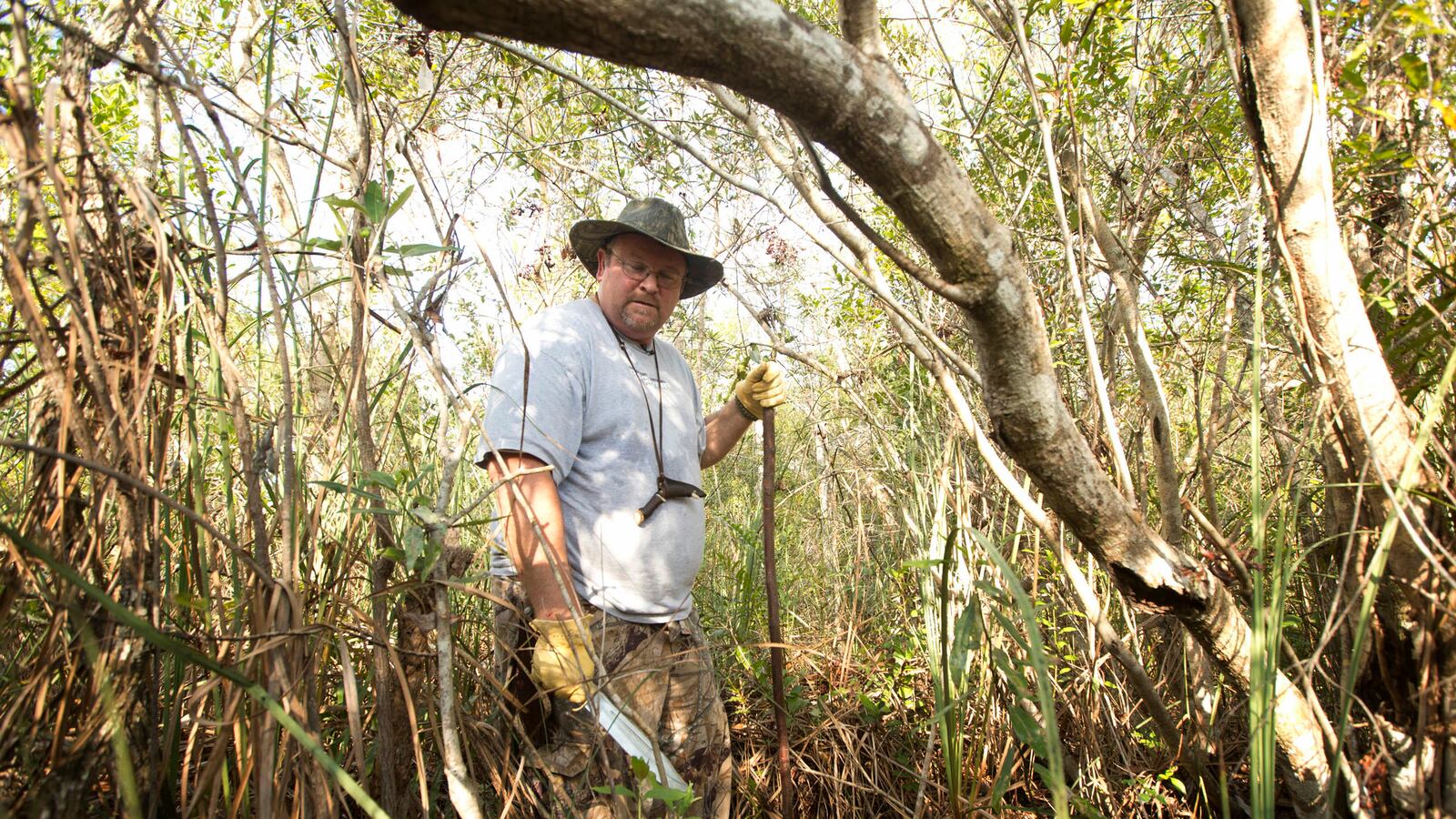 articles/2013/01/17/who-hid-all-the-snakes/130117-python-shapiro-tease_ojjkke