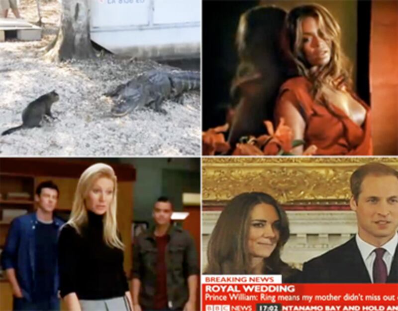 articles/2010/11/19/prince-william-engaged-gwyneth-paltrow-glee-and-more-viral-videos/week-in-viral_142398_t2aj93