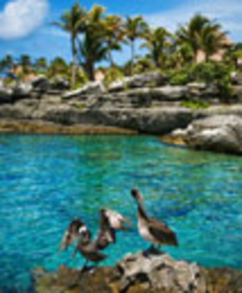 articles/2010/01/05/fresh-picks-28/fresh-picks---may-destination_aksqiq