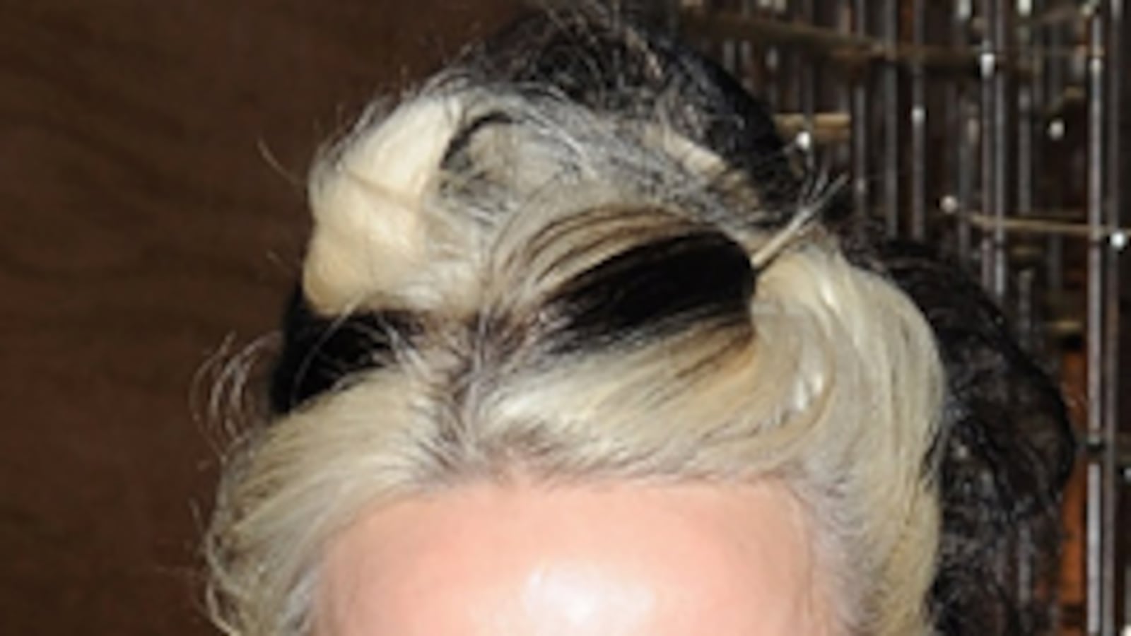 cheats/2009/08/23/deciphering-daphne-guinness/daphne-guinness_mwkin9