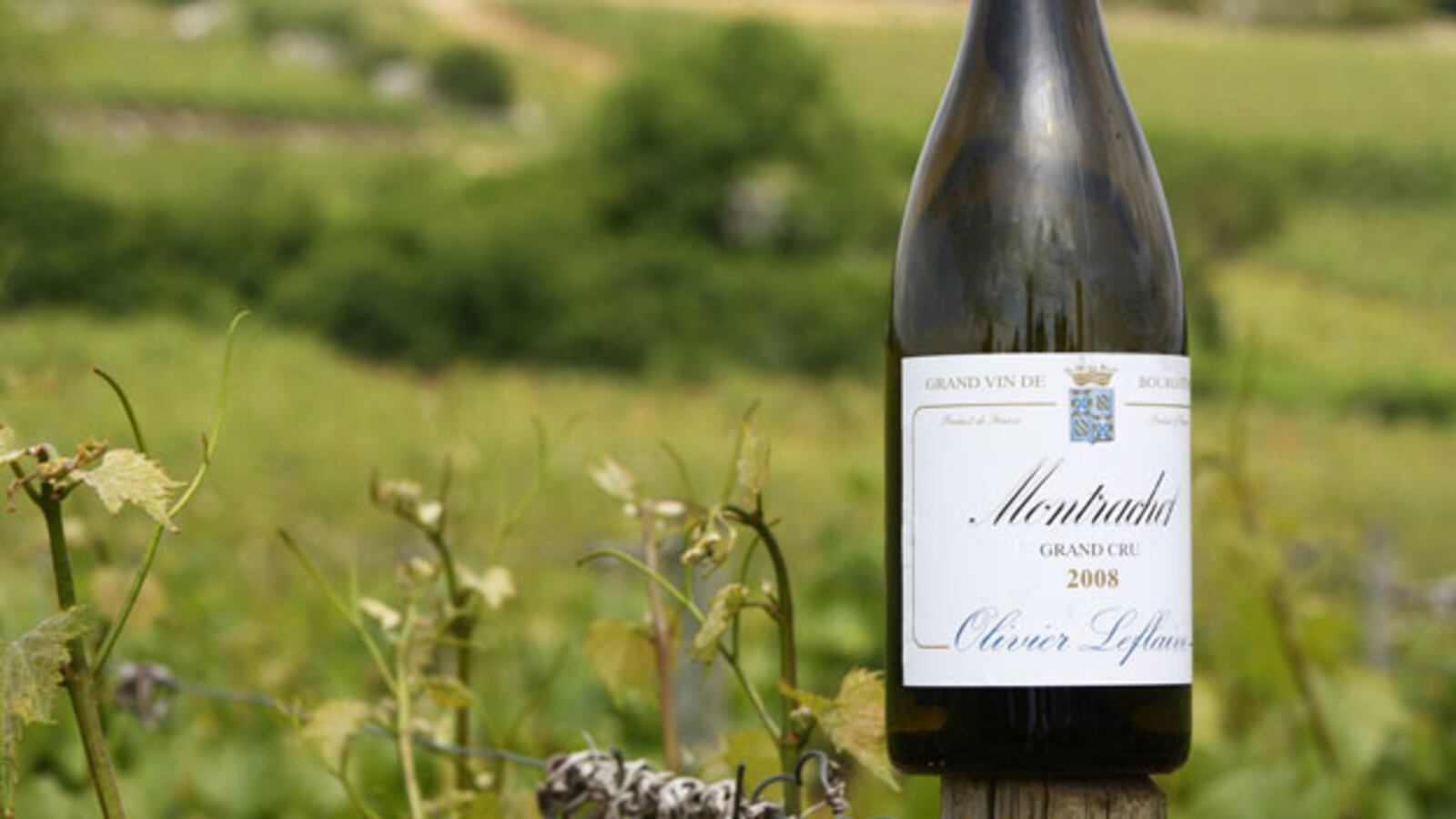 galleries/2010/06/25/summer-food-burgundy/summer-food-series-2---3_mioj8p