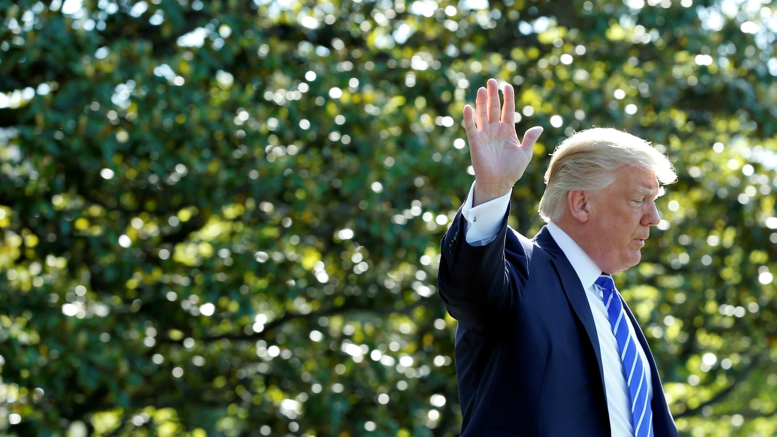 170802-nunes-cheat_fxjmsx