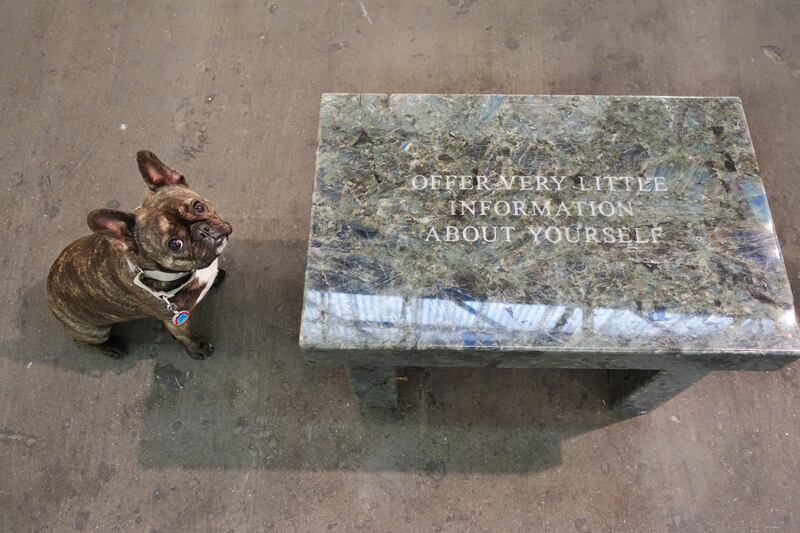 galleries/2015/03/10/meet-pickle-the-art-world-s-favorite-canine-blogger/150309-pickles-art10_cktqxe